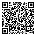 301001310M Magneto Key - No Longer Available