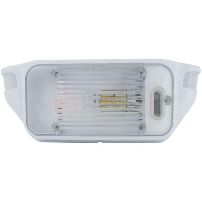 A P Products 016SL1000 Smart Light 1000 (Starlights)