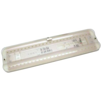 Diamond Group 52529 Utility Light (Diamond_Group)