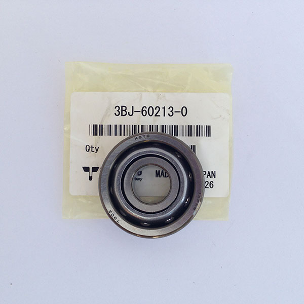 3BJ602130M Ball Bearing 7302A