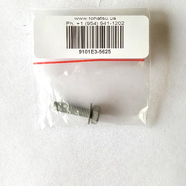 9101E35625M Bolt & Washer