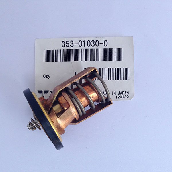 353010300M Thermostat