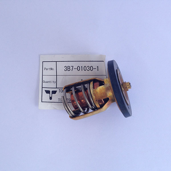 3B7010301M Thermostat