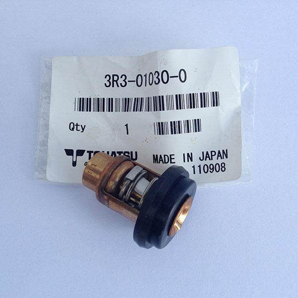 3NV010300M Thermostat (60 Degrees Celcius)